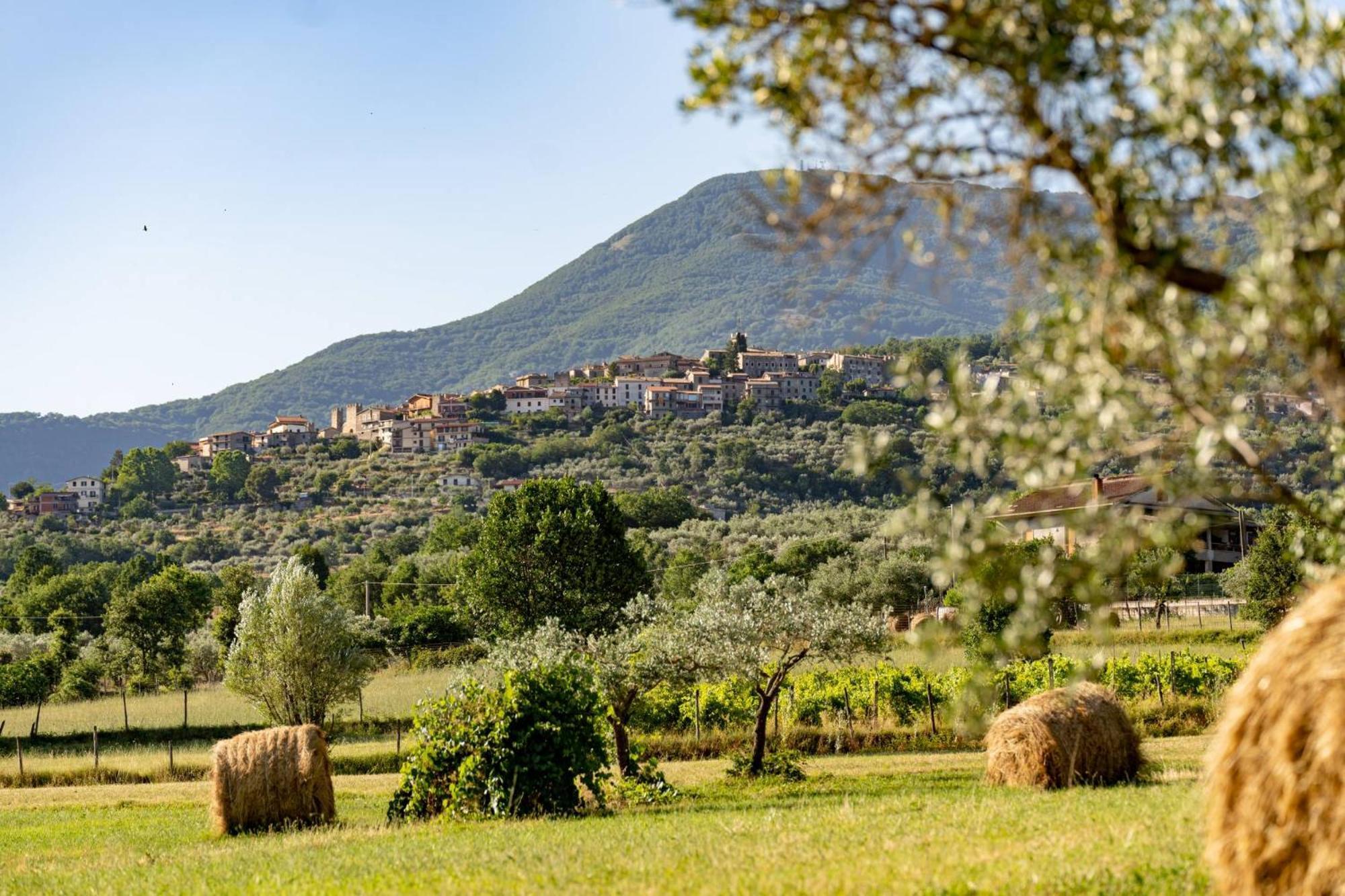 B&B Vico Suites Vico nel Lazio Экстерьер фото